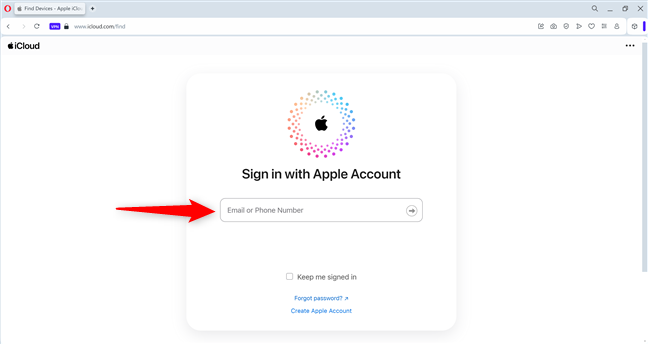 Sign in with your Apple Account and password